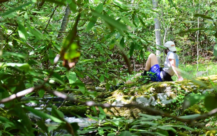 A person rests on the bank of a creek amid a thick green area.